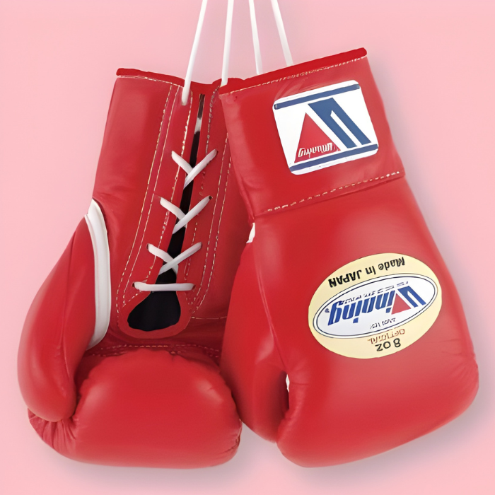 MS-200 8oz Pro Boxing Gloves