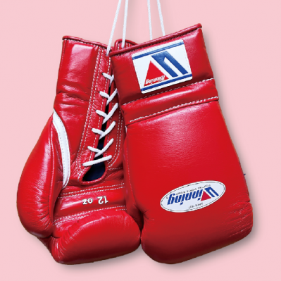MS-300 10oz Pro Boxing Gloves